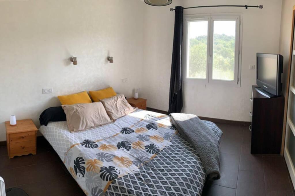 Maison Spacieuse Et Calme Pres De La Cite Villa Alairac Bagian luar foto